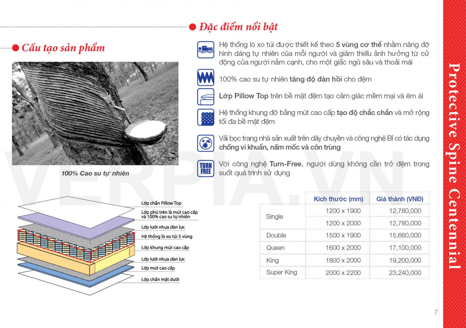 Đệm lò xo túi Protective Spine Centennial Everon