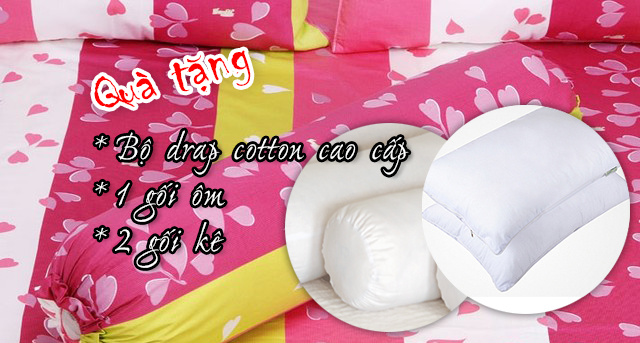 Nệm lò xo túi 4 viền Plush Top Vivian Heaven