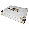 Nệm Lò Xo Tony Bed