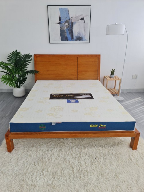Nệm Đông Á Gold Pro