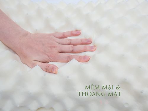 Gối Cao Su Thiên Nhiên New Massage Vạn Thành