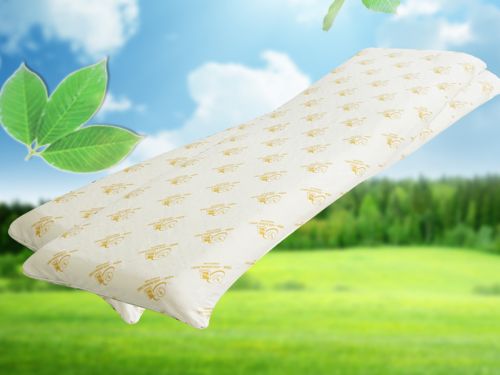 Gối đôi cao su thiên nhiên Đồng Phú