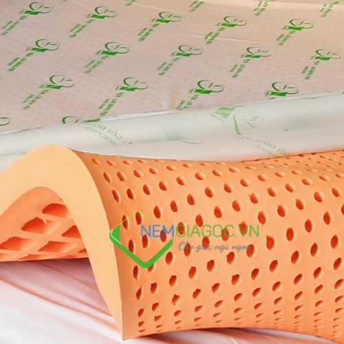 Nệm Cao Su Đồng Phú Friendly Chính Hãng Giá Rẻ
