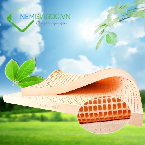 Nệm Cao Su Đồng Phú Friendly Chính Hãng Giá Rẻ