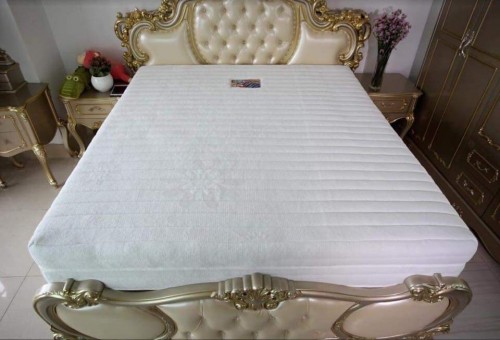 Nệm cao su Foam Thắng Lợi
