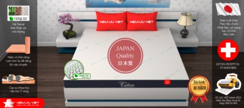 Nệm Cao Su Khoa Học Titanmillennium