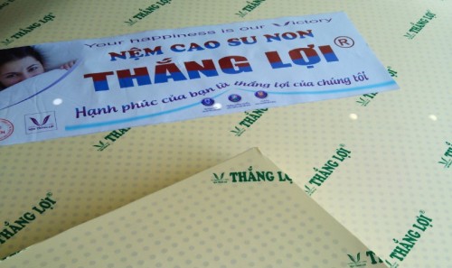 NỆM CAU SU NON THẤNG LỢI