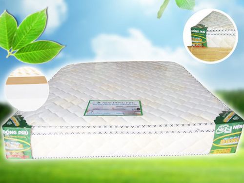 Nệm PE Mặt Cao Su Đồng Phú Giá Rẻ Cạnh Tranh