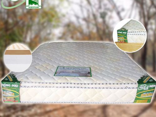 Nệm PE Mặt Cao Su Đồng Phú Giá Rẻ Cạnh Tranh