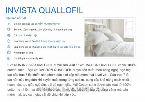 Ruột Gối Everon Invista Quallofil